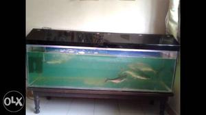 5 ft fish tank with acrylic shade,and 3 big