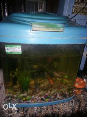 A fish aquarium for sale with all accessories and