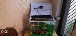 Aquarium for sale without fish