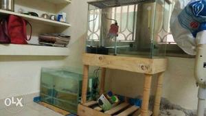 Aquarium for sales fish tank and fish tank stand