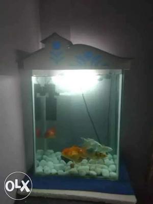 Aquarium only 1 month used with fishes and all