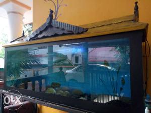 Aquarium tank and full set 125cm length and 45cm height.good