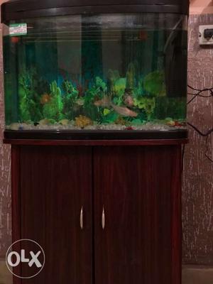 Aquarium with cabinet | Capacity: 40 litres |