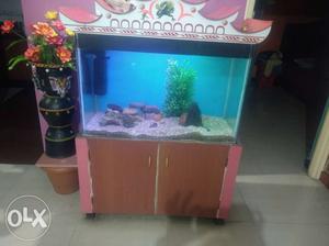 Aquarium with complete accessories, of size,