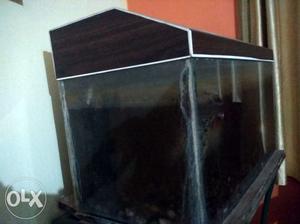 Aquarium with filter, stone, and top cover, slab