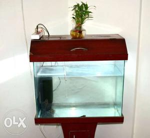 Beautiful 2 feet aquarium with wooden stand and hoods