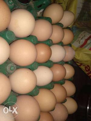 Bio fresh herbal eggs for sale