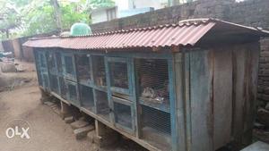 Blue And Red Chicken Coop