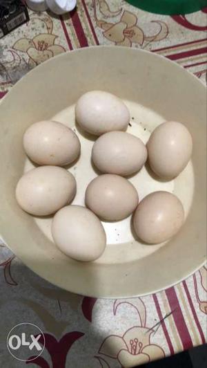 Desi hen eggs for sale (20) or above