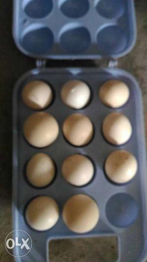 Each Natu kodi Egg 15rs