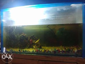 Equriam with all acceriess with out fish..