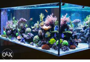 Fish aquarium with all accessories without fish