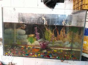 Fish tank with oxygen kit plus fishes.