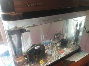 Imported fish tank with pump and heater