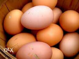 Nadan Eggs whole sale price. only Rs 6/ pic