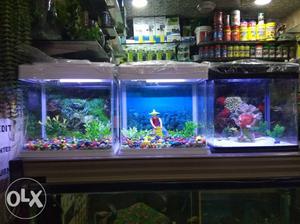 New fish aquarium and fish 3pair Madison toy palant fish