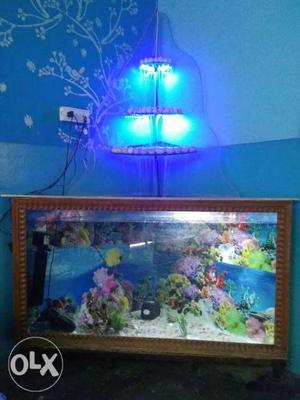 Pet Fish Tank
