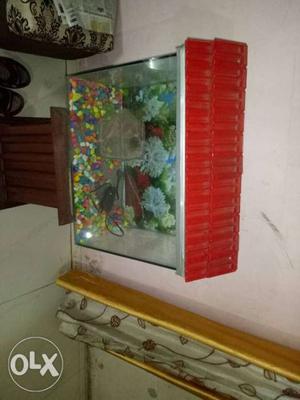 Red And White Frame Fish Tank