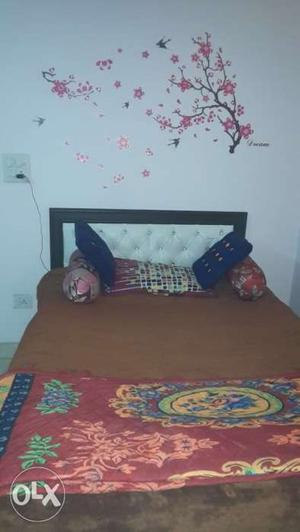Single diwan box bed, 3 month old, reason for