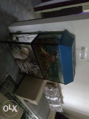 Used aquarium with all new motor both bubble and