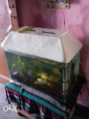  and 7 fishes all accessories good condition
