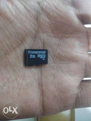 Black Transcend 2 GB SD Card