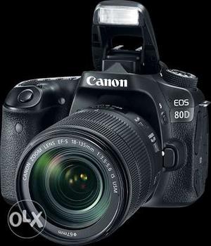 Canon 80d camera with 2 lenses 4 months old