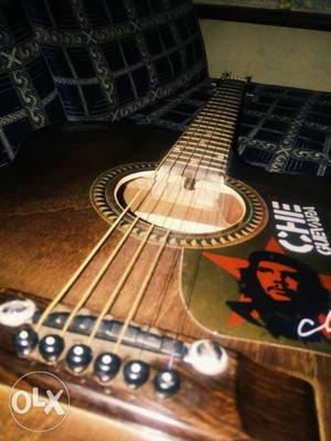 Signature acoustic guitar with speaker input and