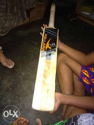 Brown And Black Pellara Wooden Cricket Batsesion bat hand