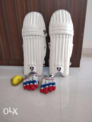 Cricket batting: SG Test pads and gloves.