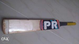 English Willow A grade bat in good condition