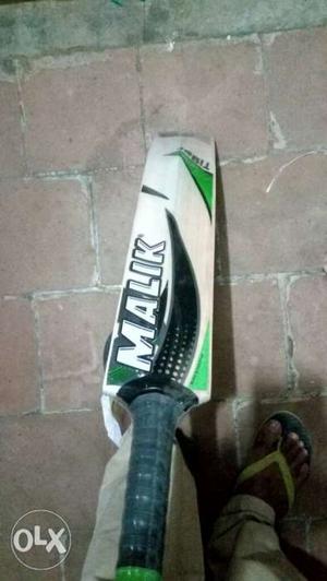 Kashmir and english willow bat