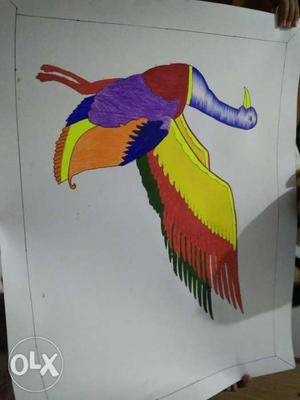 Multicolored Bird Illustration