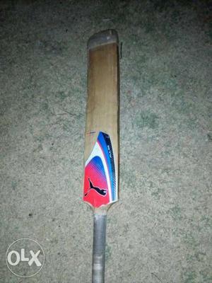 Red And Brown PUMA Cricket Bat