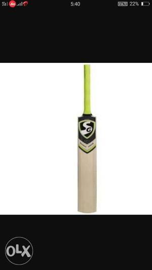 Sg bat Kashmir willow it's in nice condition