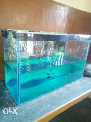 16 fish very good condition