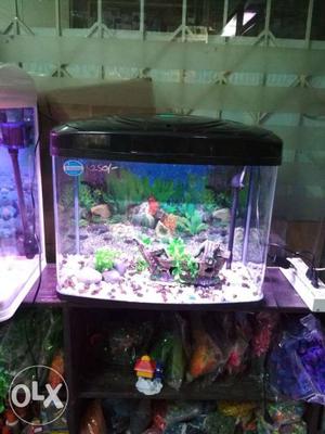 22" molded aquarium with fish and all accessories