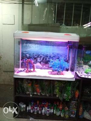 30" molded tank with fish and all accessories big