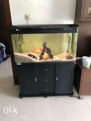 31x39x16 inch large aquarium with all accessories