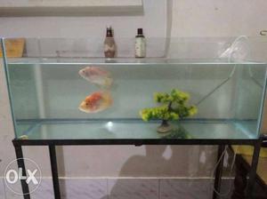 Aquarium 3 fit,stand,2 big fish only