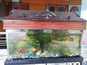 Aquarium for sale along with stand and shark and