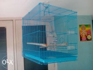 Cage of birds. New big and unused.