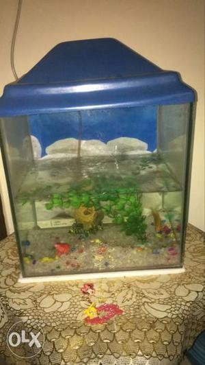 Fish Tank With Blue Plastic Lid