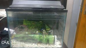 Fish aquarium for urgent sale, size 21x15",
