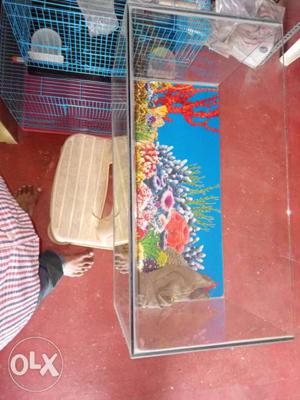 Fish tank only with top cover and it'only 2monts old with