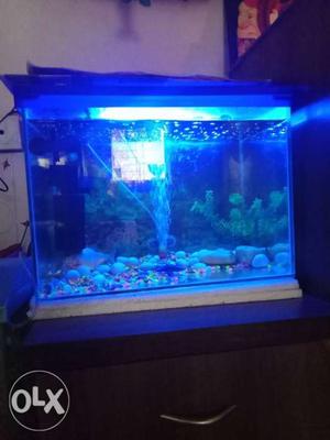 Fish tank ,with cover blue colour and1