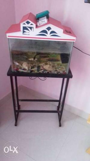 Fish tank with stand, fish and motor it's in a