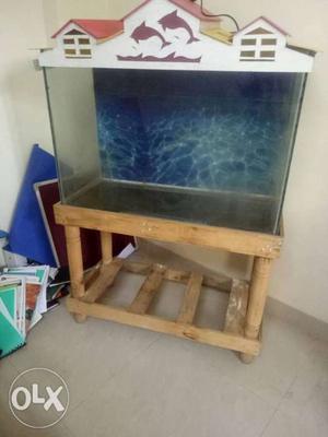 Medium size fish tank