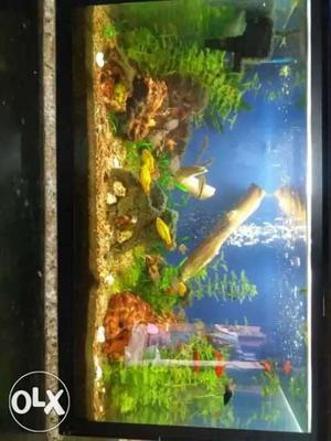 My planted fish aquarium for sale good condition