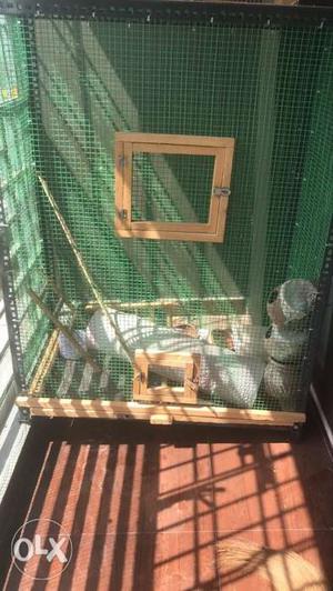Pet cage or bird cage avialable only5 months old
